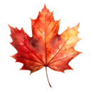 Canadian Maple Leaf